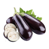 Solanum melongena