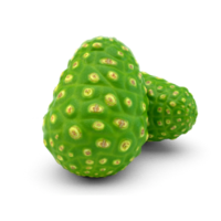Morinda citrifolia