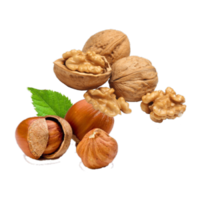 Juglans regia/Corylus avellana