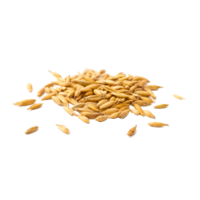 Avena