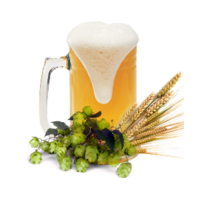 Pivo