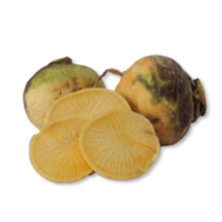 Brassica napus var. nappobrassica