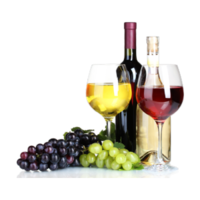 Vitis vinifera