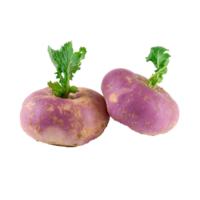 Brassica rapa var. rapifera