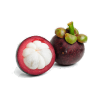 Garcinia mangostana