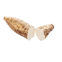 Pueraria montana var. lobata