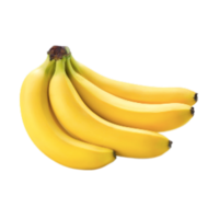 Musacae