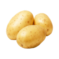 Solanum tuberosum