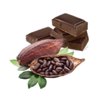 Theobroma grandiflorum