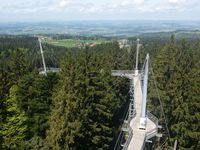 Spazieren Sie über den Skywalk in Scheidegg