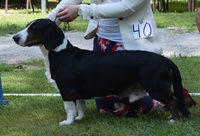Huldremarkas Black Velvet