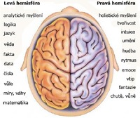 Kineziologie