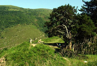 Miesto zjavenia