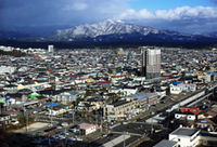 Akita
