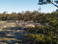 Etätöiden taukotilani