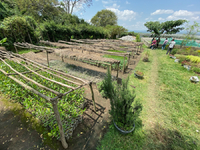 Protection of Awassa Lake Through Sustainable Management of Surrounding Area in Ethiopia