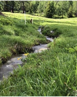 Immersi nella natura, con il silenzio dei tanti ruscelli che ci circondando e facile lasciarsi perdere in questo contesto magnifico.