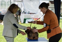 Foto: Jan Klaastad