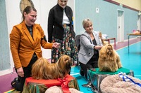 Foto: Jan Klaastad