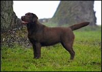Phibi, 2 años