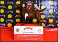 Esme, IDS Bilbao 2018 (CAC & RCACIB)