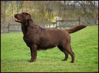 Ruby, 3 years