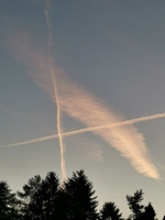 Shuttle-Mediation - ohne Druck