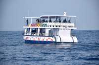 Whale watching Mirissa with Geeth - boat