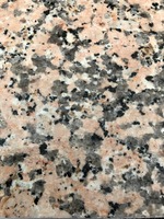 Granit(o) Rosa Porrinho