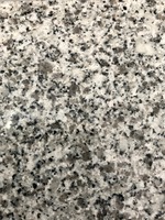 Granit(o) Pedras Salgadas