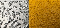 Système Antidérapant AGRAIN – (Sistema antiderapante AGRAIN)