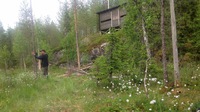Katsausta tekemässä!