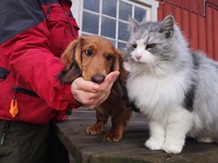 Uno med katten Findus