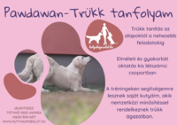 Trükk tanfolyam Paks