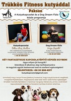 Trükktanítás és fitness kutyádnak