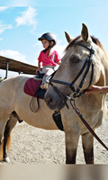 Reiten lernen für KLEIN und Groß