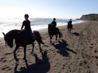 Day ride