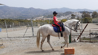 Riding lesson