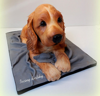Váha 5 kg, rozměr těla cca 30x 15 cm