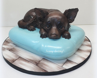 Pejsek 2kg, polstářek 4 kg.Podložka pod dortem má 45 cm průměr.