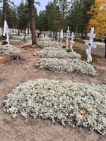 Sevettijärven hautausmaa, Inari