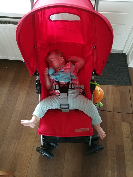 Koelstra Limbo :: Mamas-mening