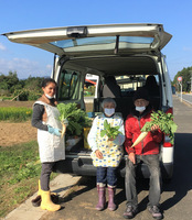 カリタス畑の収穫