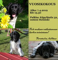 7.4.2019 VUOSIKOKOUS