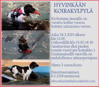 13.4.2019 DOG SWIMMING