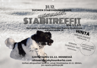 Uudenvuoden stabitreffit 31.12.2021.
