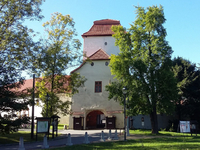 Svatba na Slezskoostravském hradě. Zdroj: balonek.cz