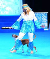 VM Heal Work to Music -Lag Silver, plac 8 individuellt Moskva 2014