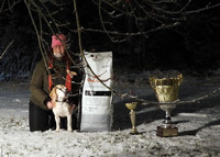 Keski-Pohjanmaan beaglekerhon mestari 2020 Astalan Xena