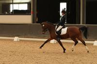 Chabelli & Upperlady C